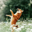 Grid calendar Dogs 2026, 30 x 30 cm
