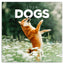 Grid calendar Dogs 2026, 30 x 30 cm