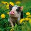 Grid calendar Animal Cuties 2026, 30 x 30 cm