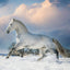 Grid calendar Horses – Christiane Slawik 2026, 30 x 30 cm