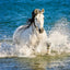 Grid calendar Horses – Christiane Slawik 2026, 30 x 30 cm
