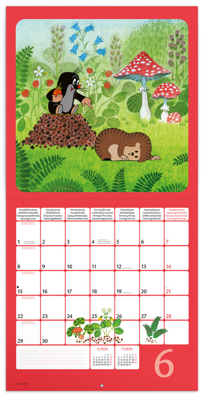 Grid calendar The Little Mole 2026, 30 x 30 cm
