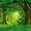 Grid calendar Amazing Rainforest 2026, 30 x 30 cm