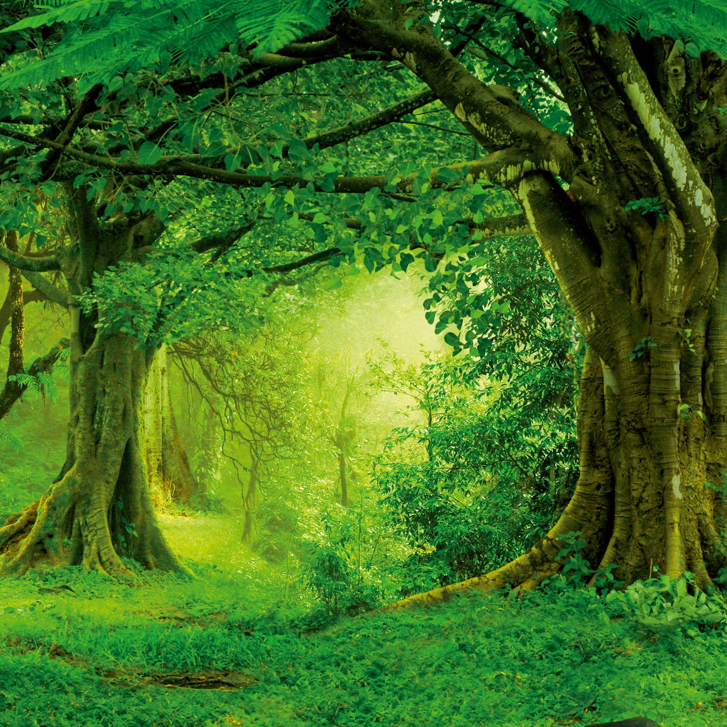 Grid calendar Amazing Rainforest 2026, 30 x 30 cm