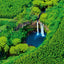 Grid calendar Amazing Rainforest 2026, 30 x 30 cm