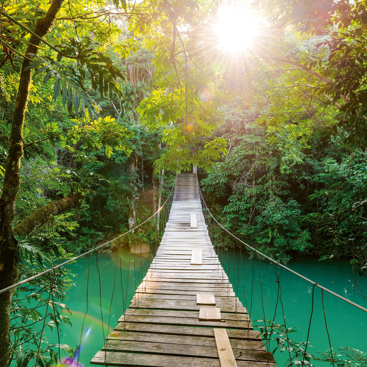 Grid calendar Amazing Rainforest 2026, 30 x 30 cm
