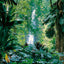 Grid calendar Amazing Rainforest 2026, 30 x 30 cm