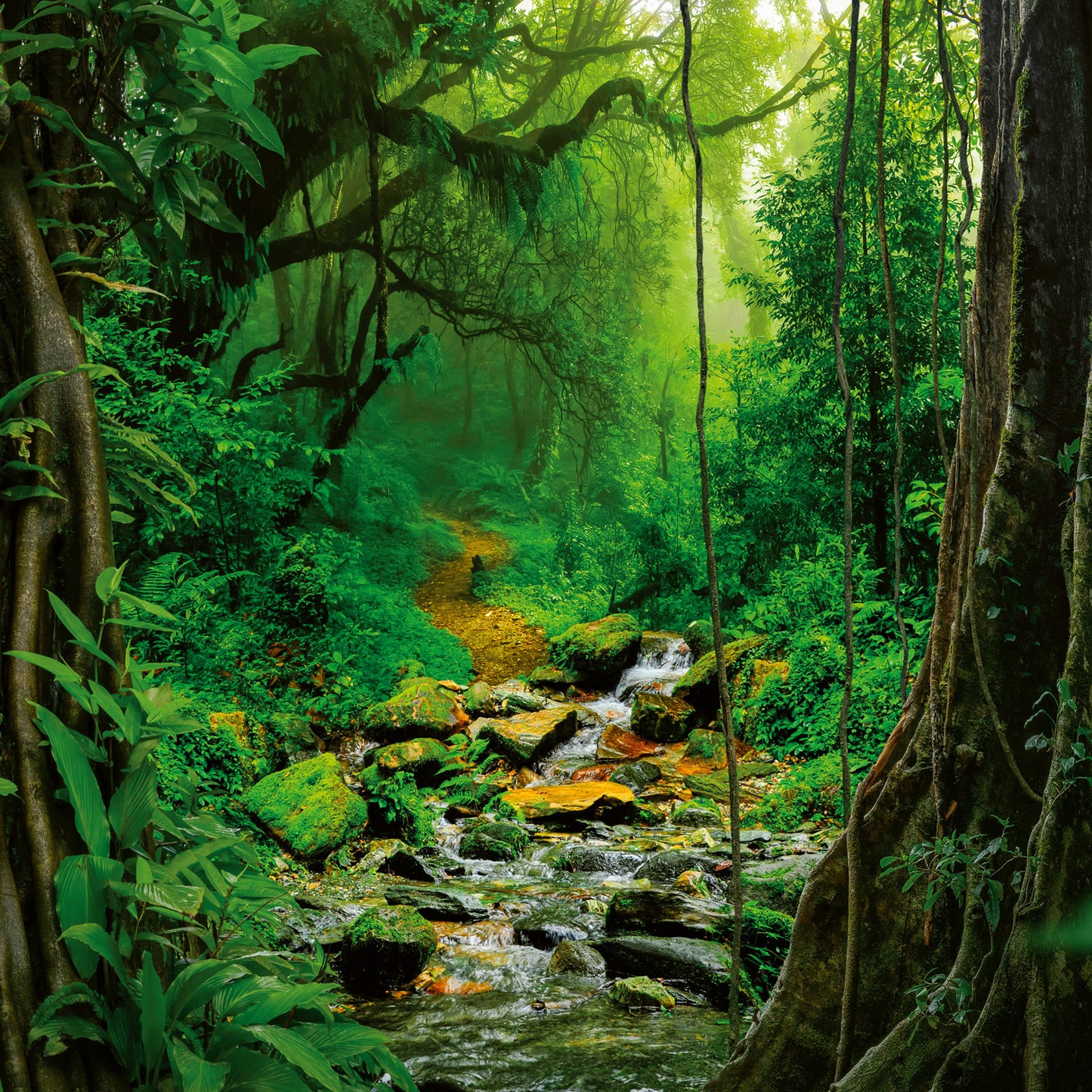 Grid calendar Amazing Rainforest 2026, 30 x 30 cm