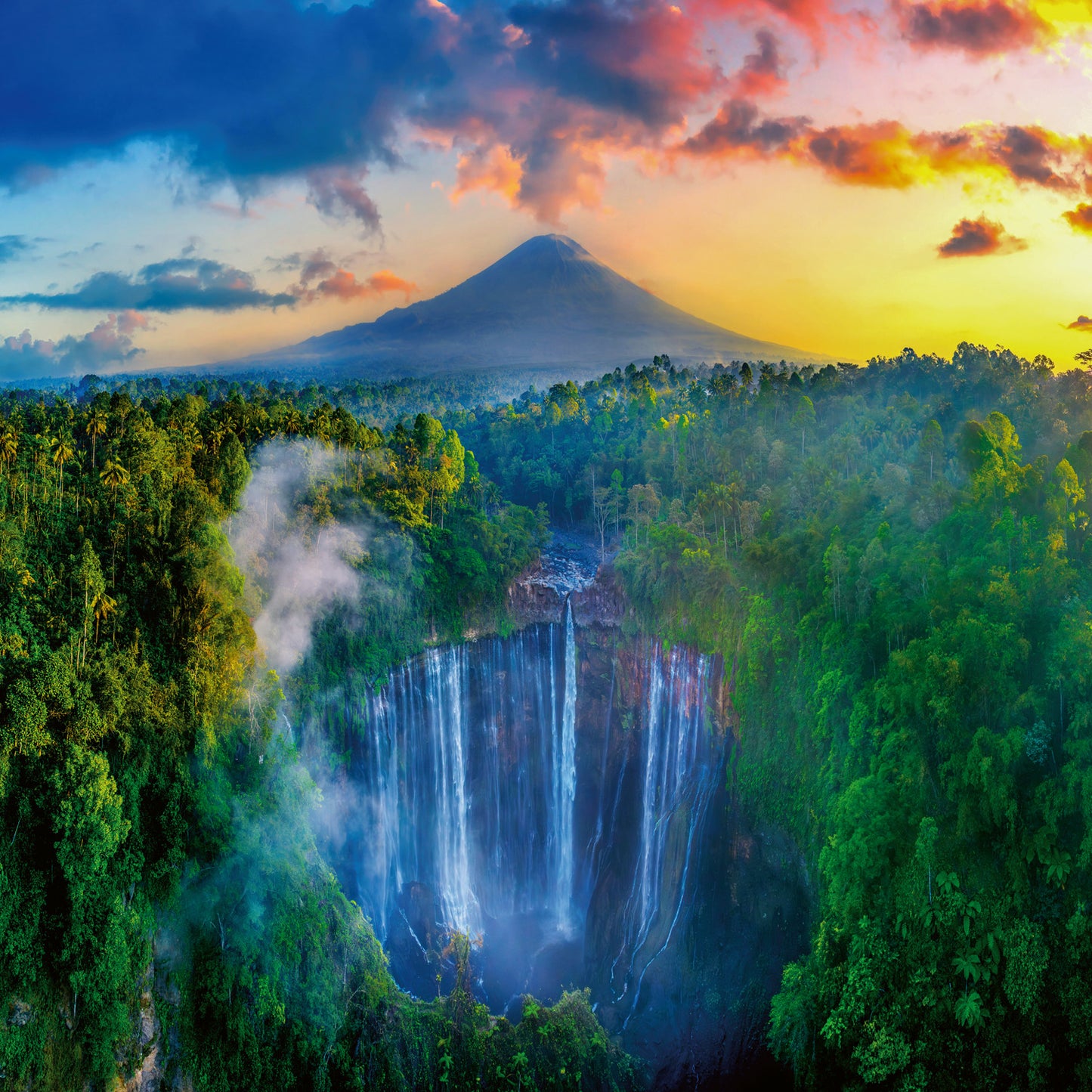 Grid calendar Amazing Rainforest 2026, 30 x 30 cm