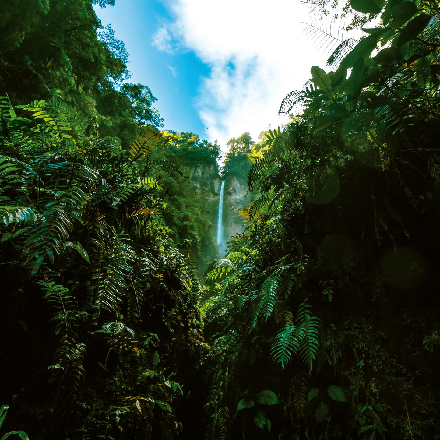 Grid calendar Amazing Rainforest 2026, 30 x 30 cm