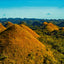 Grid calendar Amazing Rainforest 2026, 30 x 30 cm