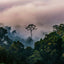 Grid calendar Amazing Rainforest 2026, 30 x 30 cm