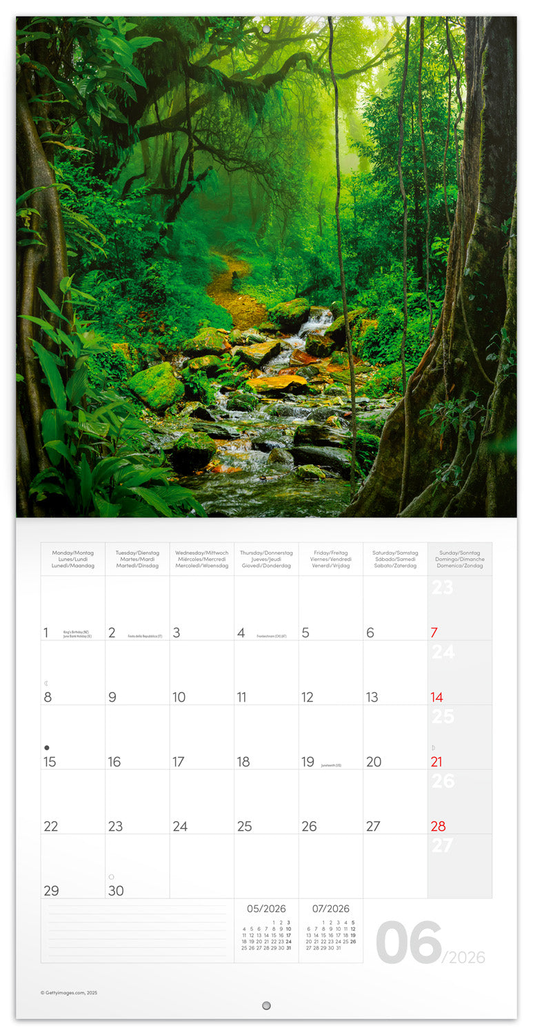 Grid calendar Amazing Rainforest 2026, 30 x 30 cm
