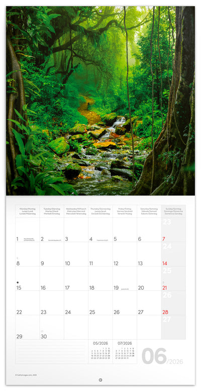Grid calendar Amazing Rainforest 2026, 30 x 30 cm