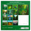 Grid calendar Amazing Rainforest 2026, 30 x 30 cm