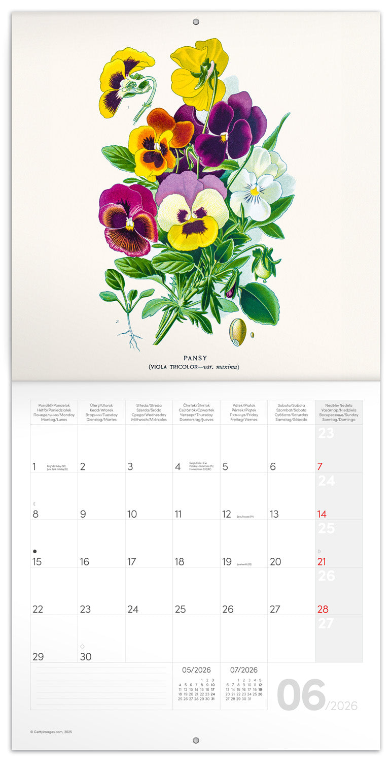 Grid calendar Herbarium 2026, 30 x 30 cm