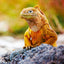 Grid calendar Lizards 2026, 30 x 30 cm