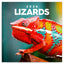 Grid calendar Lizards 2026, 30 x 30 cm