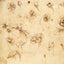 Grid calendar Leonardo da Vinci 2026, 30 x 30 cm