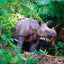 Grid calendar Endangered Animals 2026, 30 x 30 cm