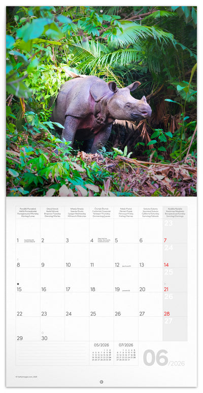 Grid calendar Endangered Animals 2026, 30 x 30 cm