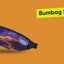 Bumbag Snap Fortnite Squad